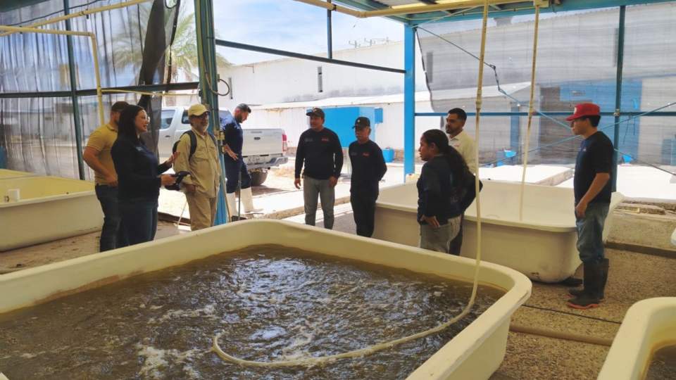 Evalúan mejoras de infraestructura y energía para el CREMES